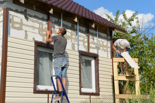 Best Siding Painting and Refinishing  in Timberville, VA